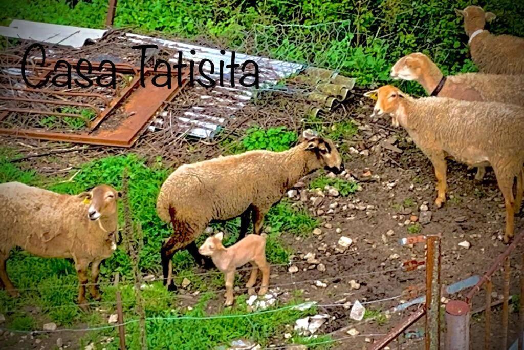 Апартаменты Casa Tatisita Buhardilla Сегура-де-ла-Сьерра Экстерьер фото